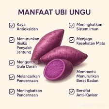Gambar artikel KHASIAT UBI UNGU
